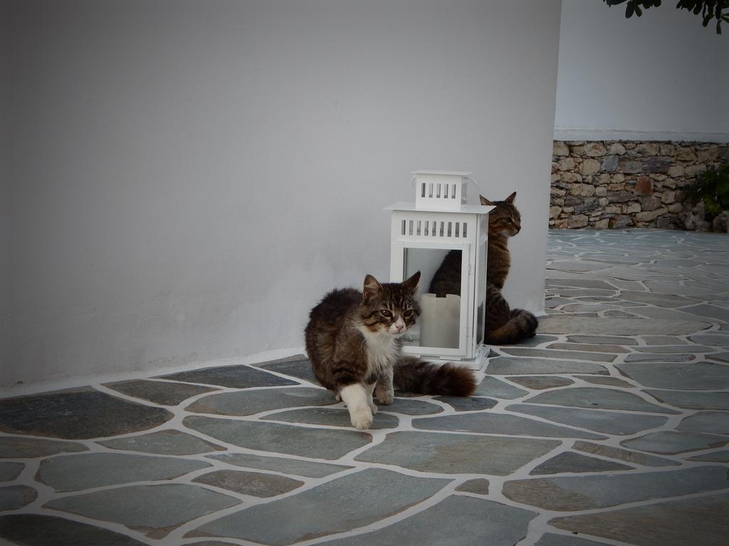 Aegeo Hotel Folegandros Town Экстерьер фото